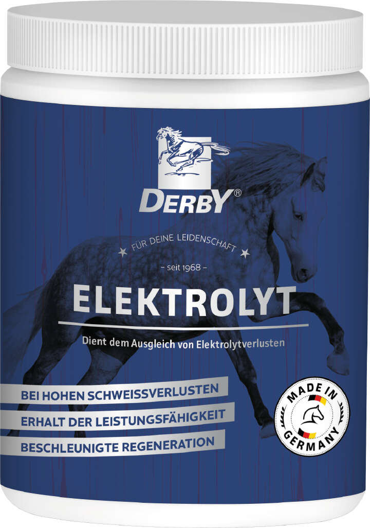 DERBY Zusatzfutter "Elektrolyt"